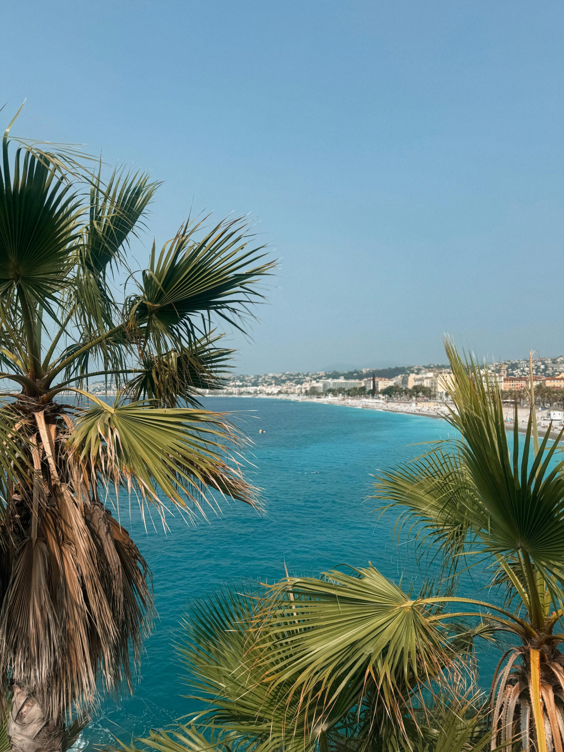 Beautiful coastal view of Nice, France with turquoise Mediterranean waters and palm trees in summer.
